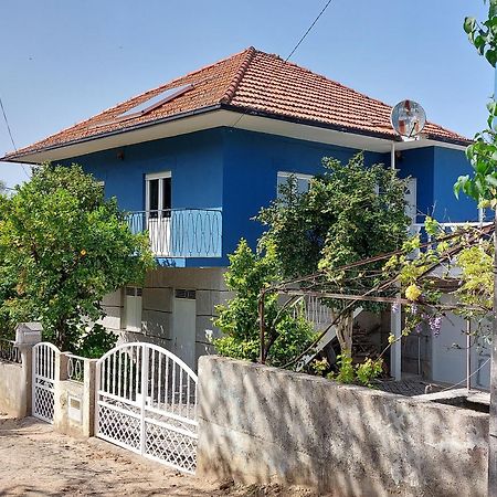 佩纳尔瓦堡Casa Azul Vales别墅 外观 照片